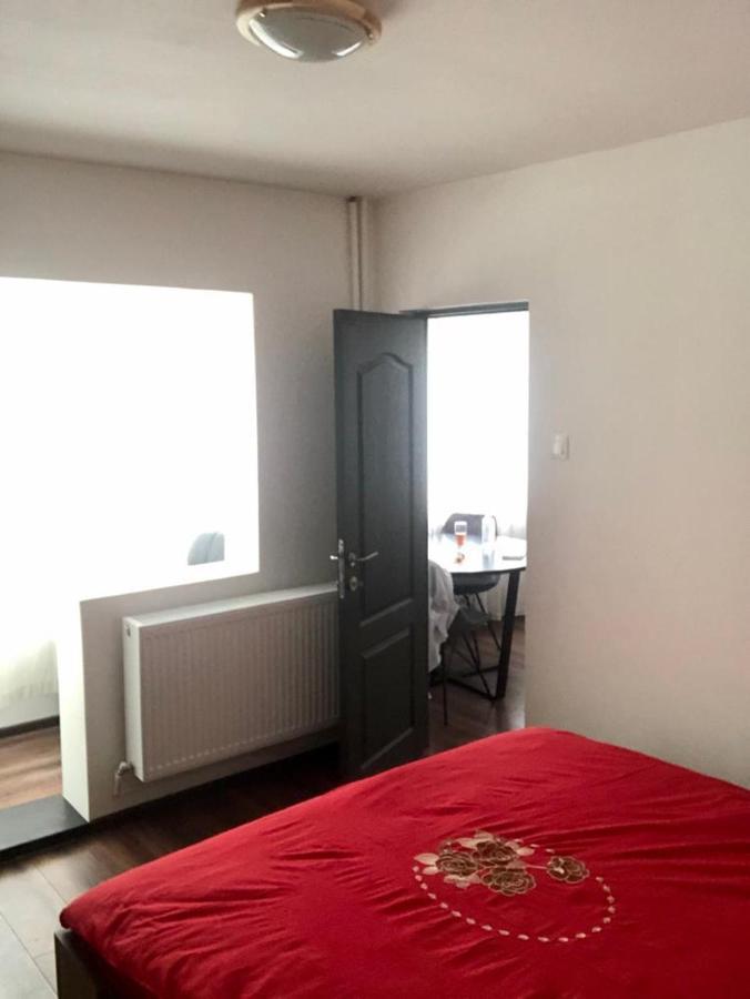 Silene Studio Craiova Luaran gambar