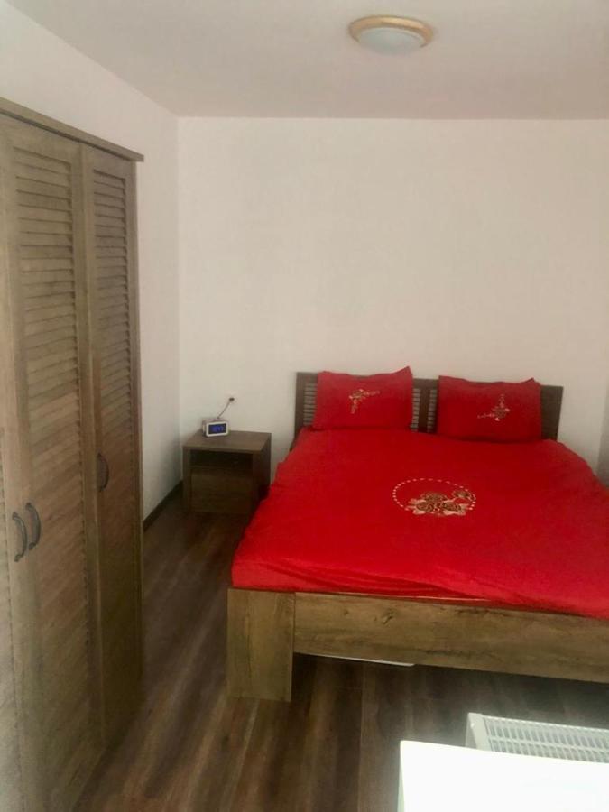 Silene Studio Craiova Luaran gambar