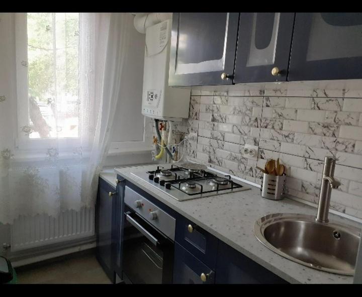 Silene Studio Craiova Luaran gambar