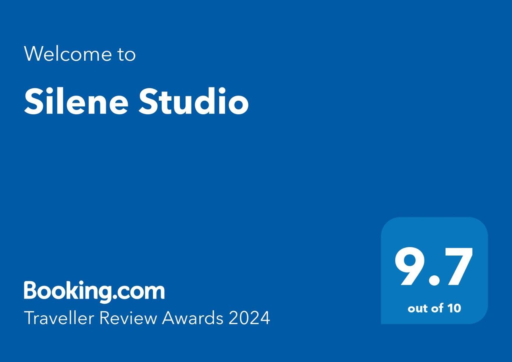 Silene Studio Craiova Luaran gambar