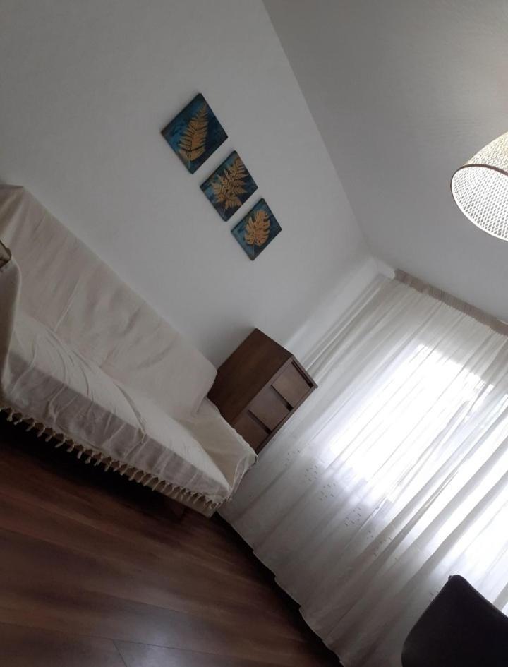 Silene Studio Craiova Luaran gambar
